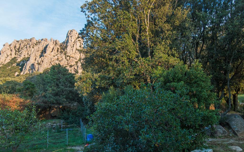 Casa Vacanze San Pantaleo Villa Bagian luar foto